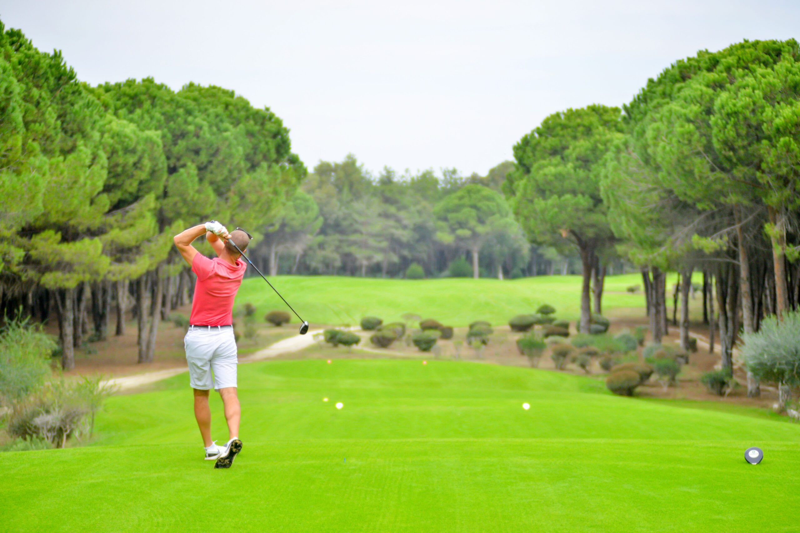 golf live im tv